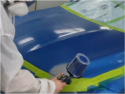 Bonnet Paint