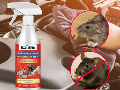 Rat/Pest